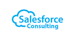 Accountant at Sales Force Consulting job